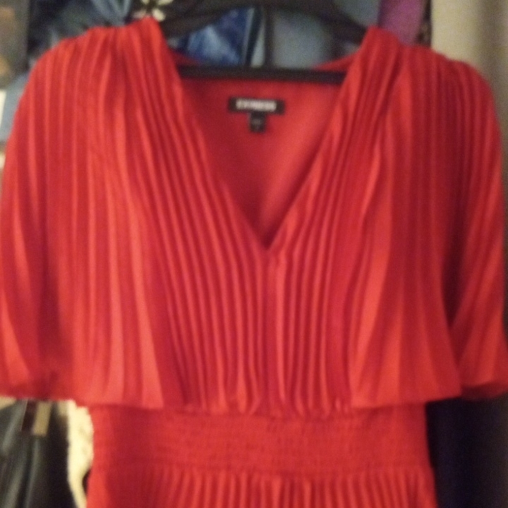 Express Red Pleated Dress
